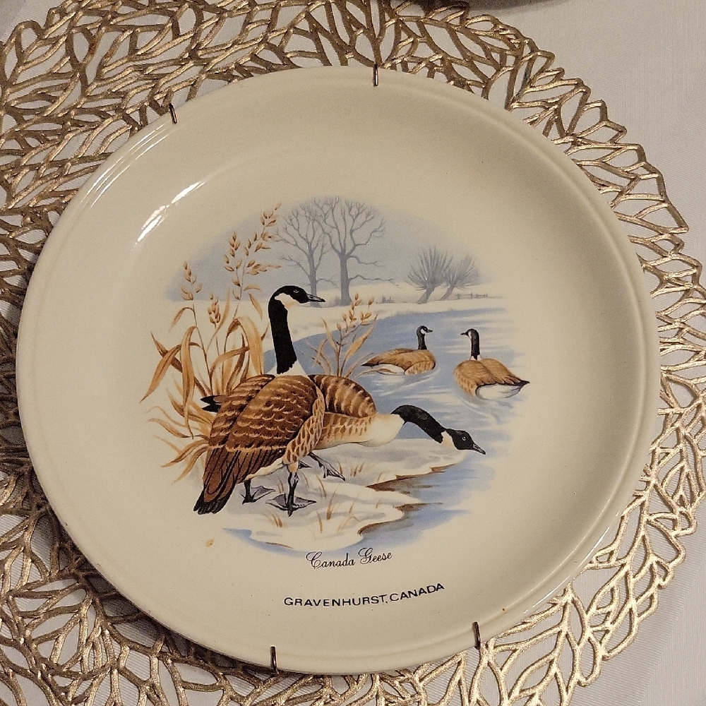 Vintage Rustic Farmhouse Cream Plate with Canada Geese Design